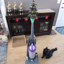 Protecting christmas tree from dogs cats pets 1 585a5c3dd4417__605.jpg
