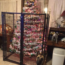 Protecting christmas tree from dogs cats pets 34 585a917f50d3b__605.jpg