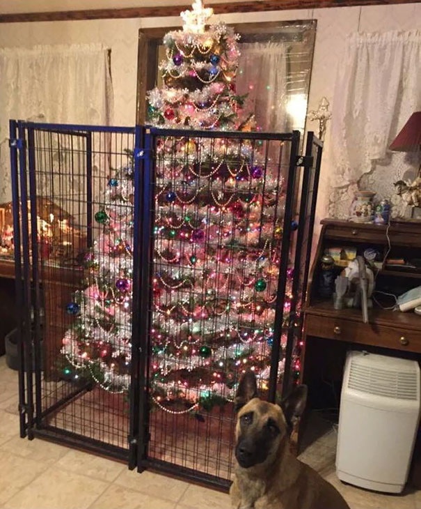 Protecting christmas tree from dogs cats pets 34 585a917f50d3b__605.jpg