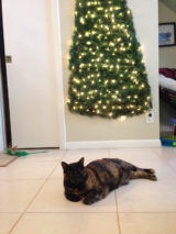 Protecting christmas tree from dogs cats pets 6 585a66c36e602__605.jpg