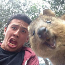 Funny animal selfies 65 587e1e9b9d885__605.jpg