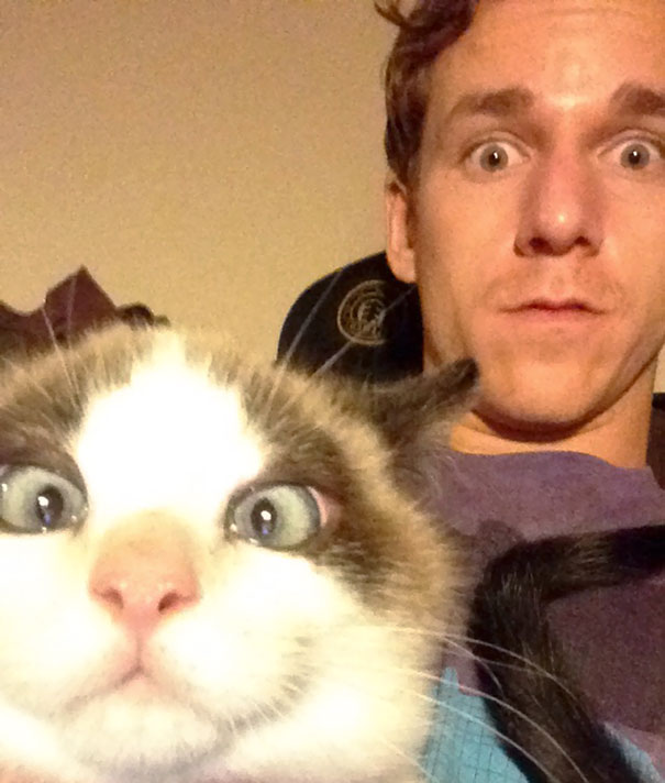 Funny animal selfies 74 587e2e31b27dc__605.jpg