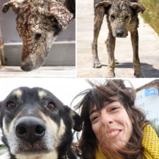 Rescue dogs before after adoption 3 586658c295e11__700.jpg