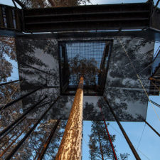 Treehouse hotel 7th room snohetta sweden 4.jpg