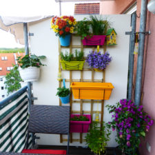 Post_47 garden on balcony semi private homebnc.jpg