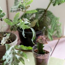 Post_s6_future_living_copenhagen_apartment_denmark_spacon_and_x_yatzer.jpg