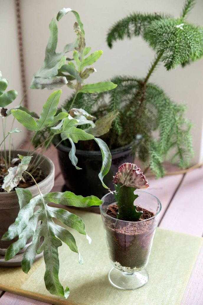 Post_s6_future_living_copenhagen_apartment_denmark_spacon_and_x_yatzer.jpg