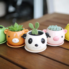 Post_suculentas_decor_blog_doce_18_decora__o_plantas_plantinhas__12_.jpg