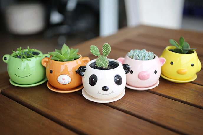 Post_suculentas_decor_blog_doce_18_decora__o_plantas_plantinhas__12_.jpg