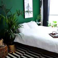 Green bedroom idea 19.png