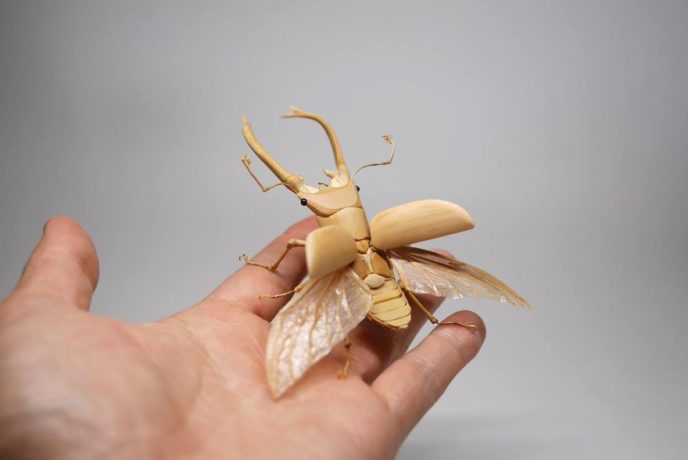 The japanese artist who creates life size insects exclusively from bamboo will impress you 59e088528224a__880.jpg