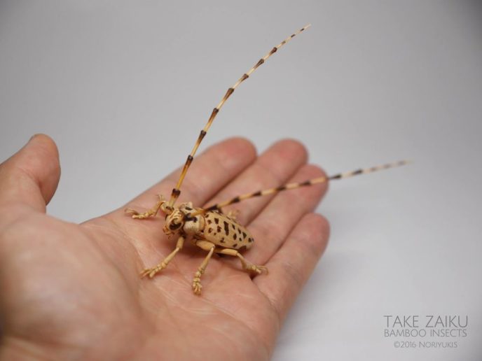 The japanese artist who creates life size insects exclusively from bamboo will impress you 59e088547a307__880.jpg