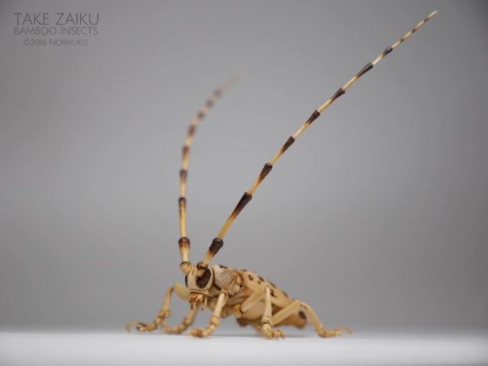 The japanese artist who creates life size insects exclusively from bamboo will impress you 59e08856727c9__880.jpg