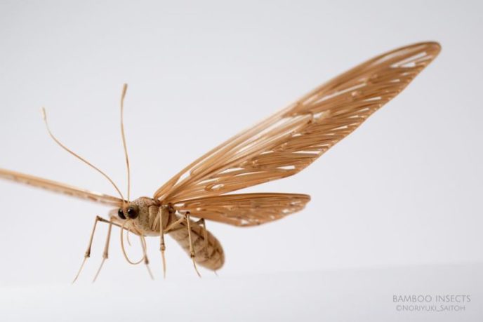 The japanese artist who creates life size insects exclusively from bamboo will impress you 59e089d0e2125__880.jpg
