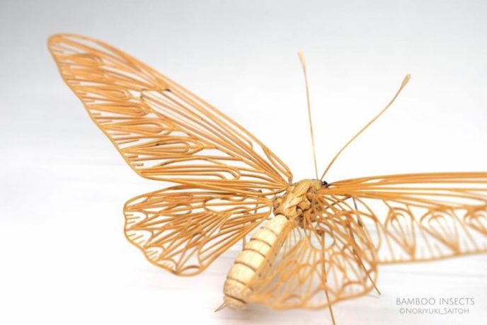 The japanese artist who creates life size insects exclusively from bamboo will impress you 59e089f8d6d68__880.jpg