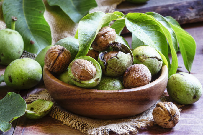 Fresh walnuts in a green shell