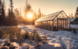 skleník na záhrade počas zimy
