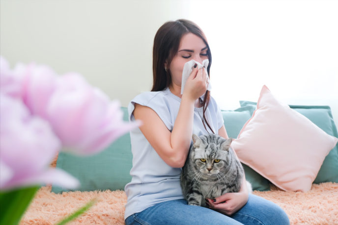 kýchanie a alergia na mačku