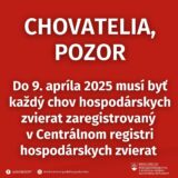 Fb_img_1744058935306.jpg