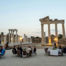 View on the dinner