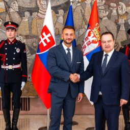 Estok dacic130625 1.jfif_.jpg