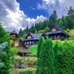 A0af11c6 e5bc 4ca3 83ac d54acc00e227.jpeg