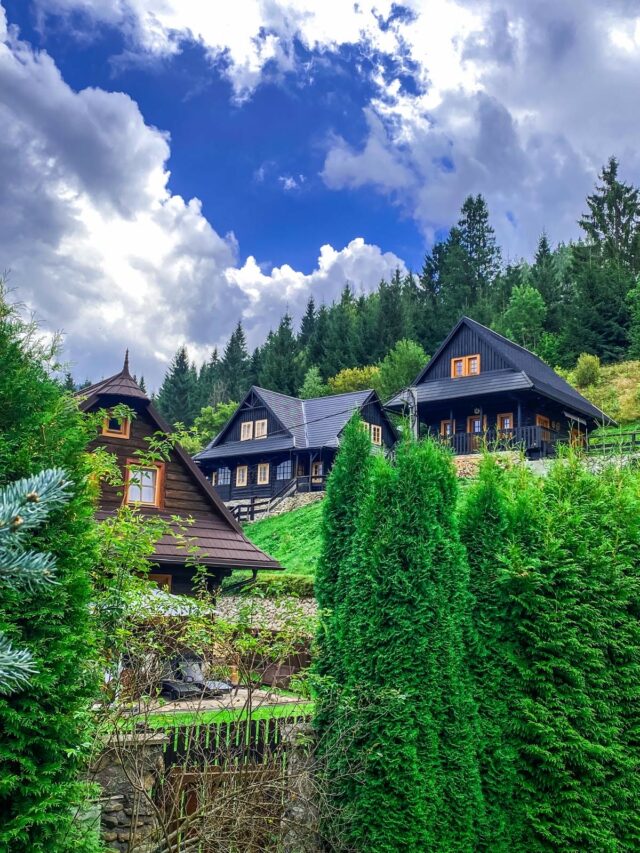 A0af11c6 e5bc 4ca3 83ac d54acc00e227.jpeg