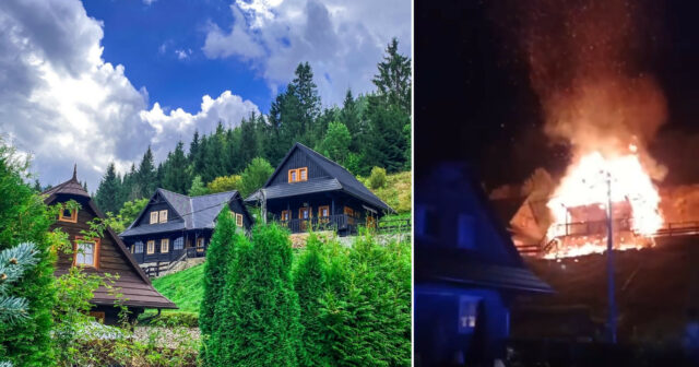 Untitled design 100.jpg