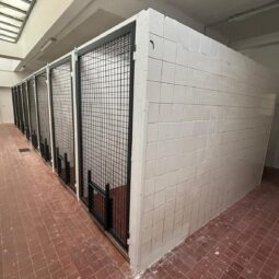 Fb_img_1762866965405 1.jpg