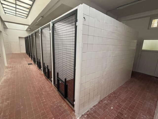 Fb_img_1762866965405 1.jpg