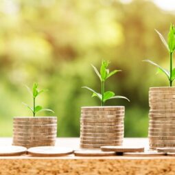 Money 2696219_1280.jpg