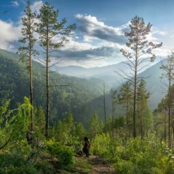 Pexels 120531107 28163009.jpg