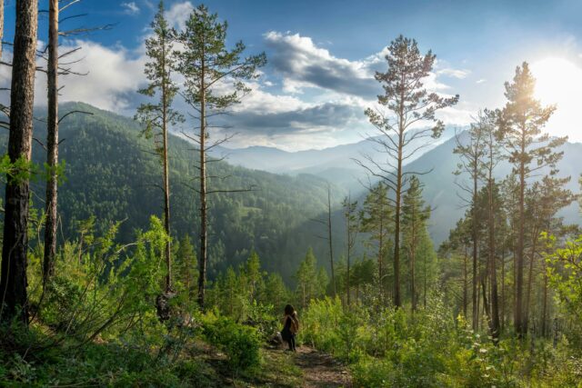 Pexels 120531107 28163009.jpg