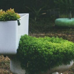 Pexels deeanacreates 1682346.jpg