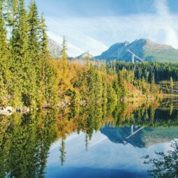 Pexels dominikagregus 1560049.jpg