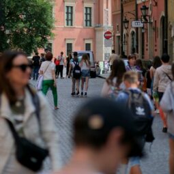 Pexels szafran 33551509.jpg