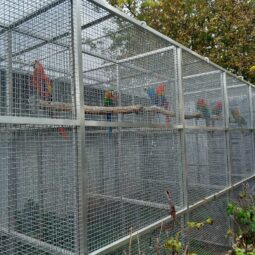 Fb_img_1764927872600 1.jpg