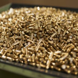 Foto 2 malora zova munice.jpg