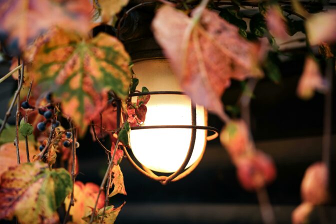 Pexels oktay koseoglu 42034955 29758675.jpg