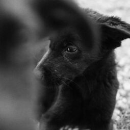 Pexels rachel claire 6125764.jpg