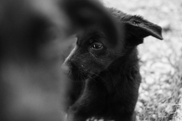 Pexels rachel claire 6125764.jpg