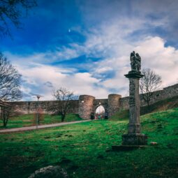 Pexels rudy kirchner 278171 831075.jpg