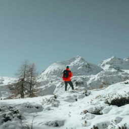 Pexels urtimud 89 76108288 35116921.jpg