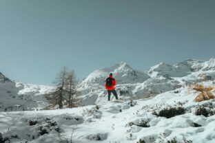 Pexels urtimud 89 76108288 35116921.jpg