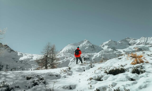 Pexels urtimud 89 76108288 35116921.jpg