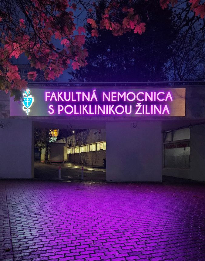 Fnsp za_zilinska nemocnica sa zahali do purpurovej farby na podporu predcasniatok.jpg