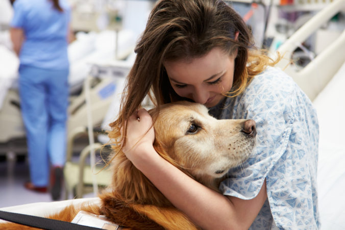 Terapia pes pomoc asistencia