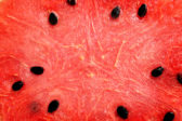 Melón