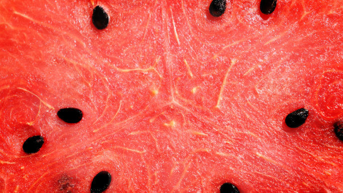 Melón