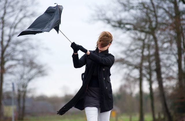 4321_vietor dazd jesen 640x420.jpg